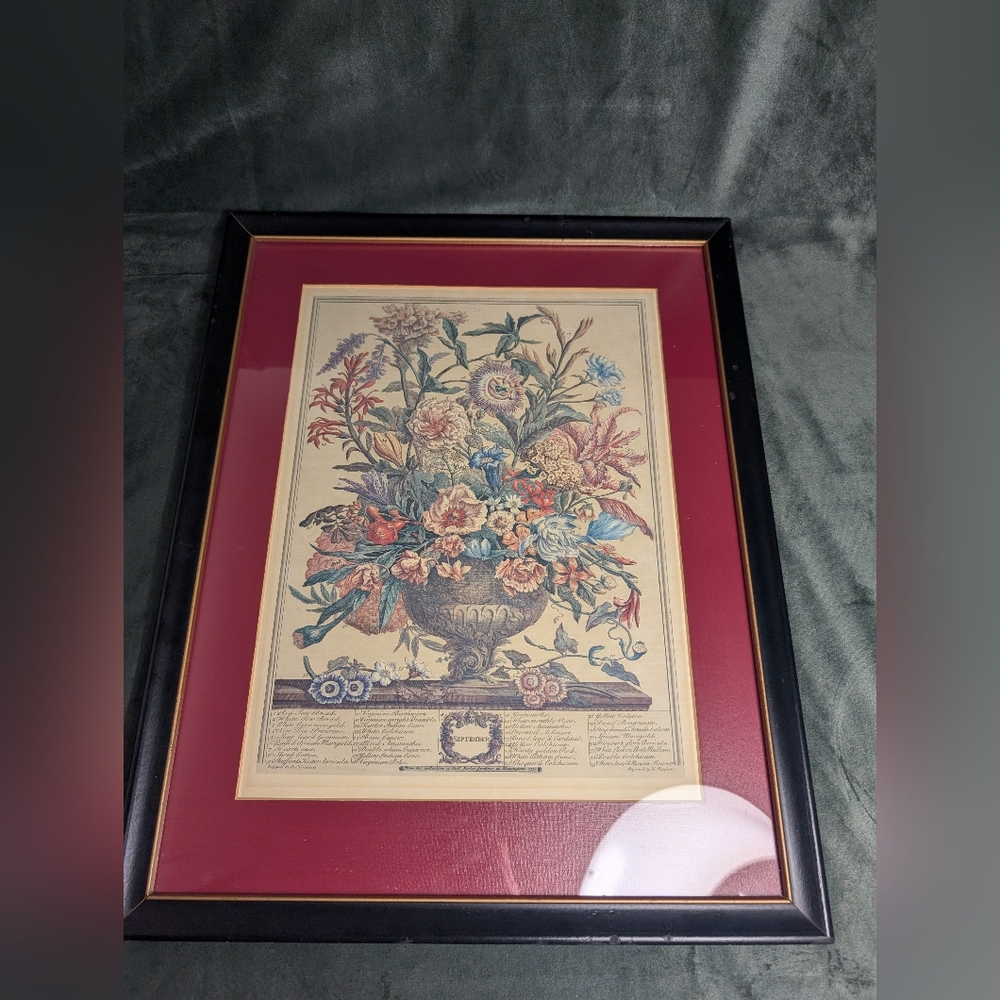 Vtg  Botanical Print Robert Furber SEPTEMBER Framed Matted  H Fletcher Engraver